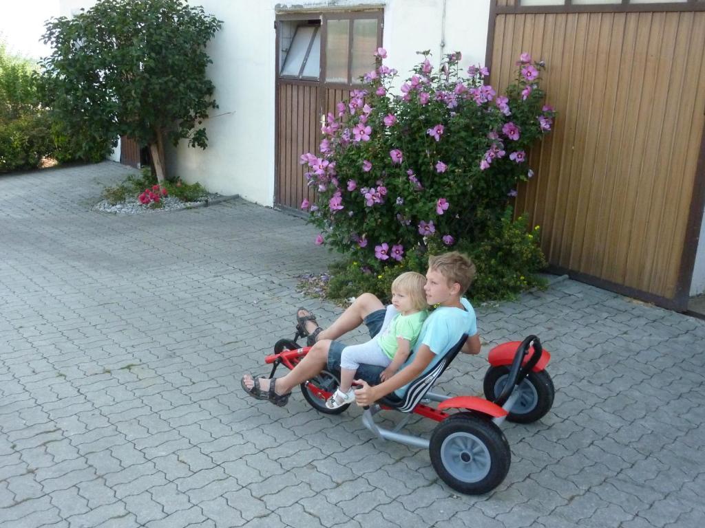 Goelsenhof - Fam. Buechinger Villa Wald  Exteriör bild