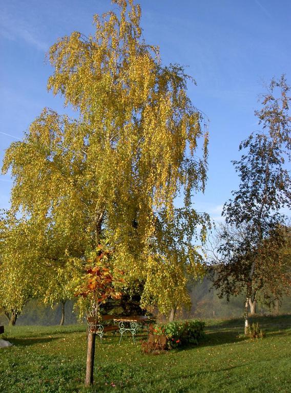 Goelsenhof - Fam. Buechinger Villa Wald  Exteriör bild